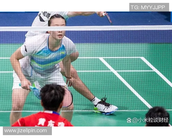 武汉羽毛球队节奏分析与发展策略探讨全面解读