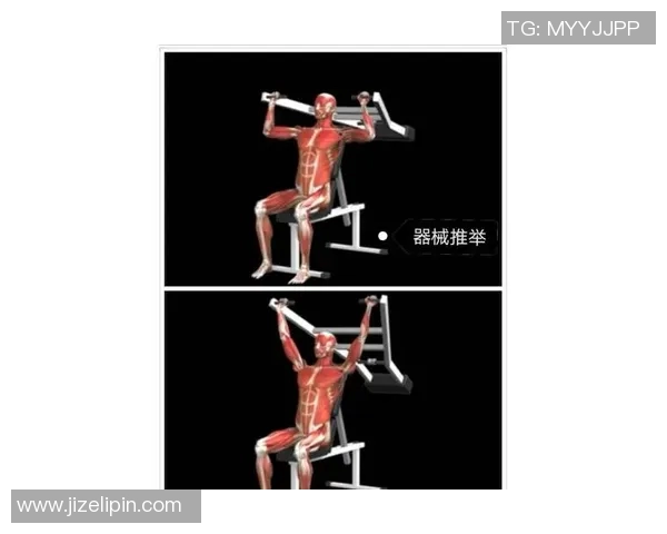 全方位力量训练指南:打造强健体魄的科学方法与实用技巧 全方位力量训练指南:打造强健体魄的科学方法与实用技巧